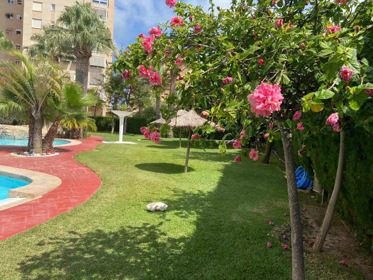 Alicante Apartamento En La Playa Muchavista-San Juan - Marluma Frente Al Mar La Venteta Luaran gambar
